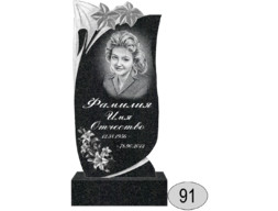 Памятник 091 (New)