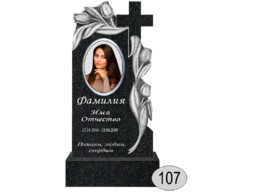 Памятник 107 (New)