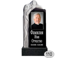Памятник 110 (New)