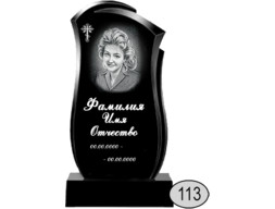 Памятник 113 (New)