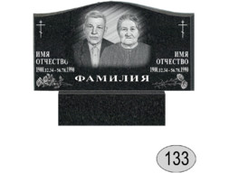 Памятник 133 (New)