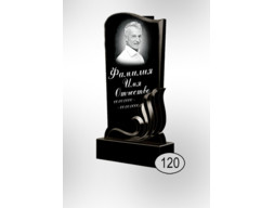 Памятник 120 (New)