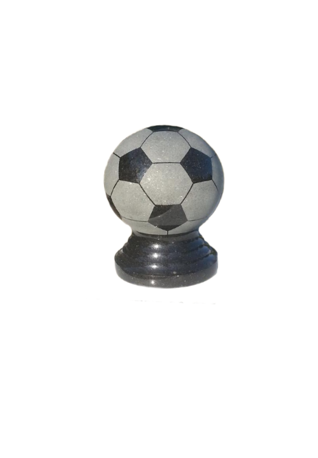 Мяч D22